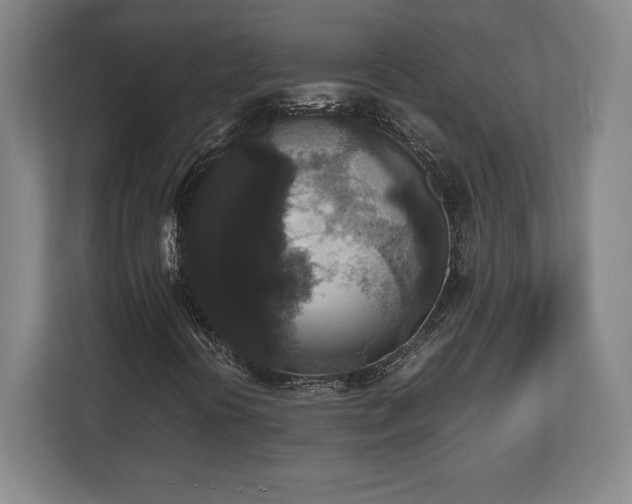 X0000112531394200908241457