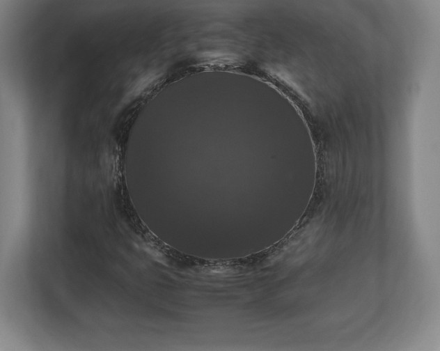 X0000112531399200908241457