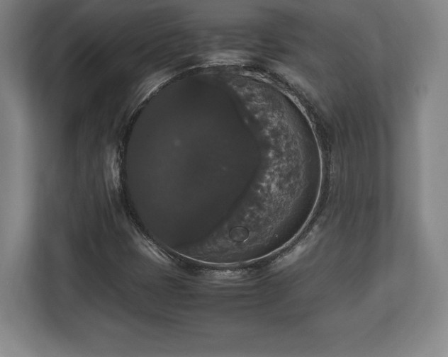 X0000112531401200908241457