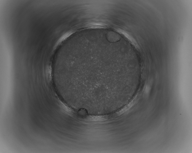 X0000112531402200908241457