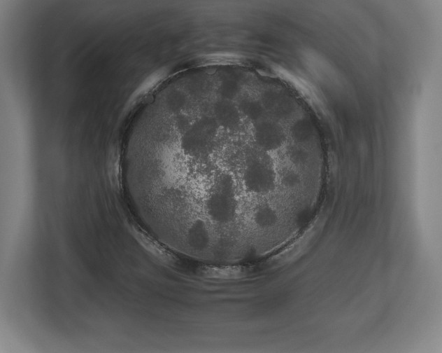 X0000112531403200908241457