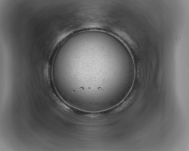 X0000112531404200908241457
