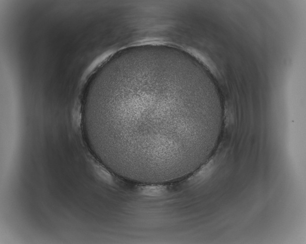 X0000112531406200908241457