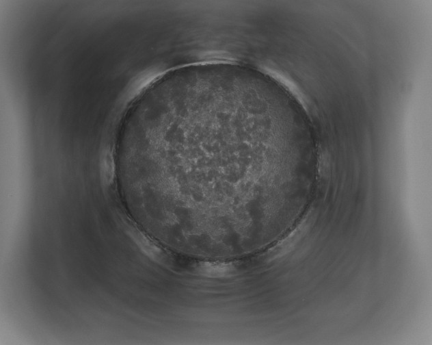 X0000112531407200908241457