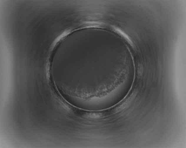 X0000112531411200908241457