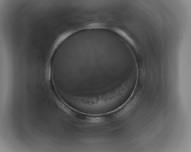X0000112531413200908241457