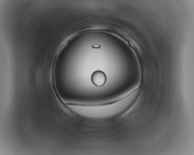 X0000112531417200908241457