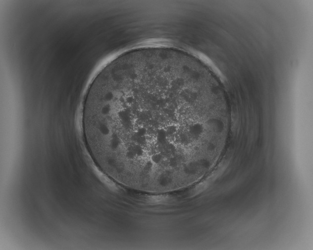 X0000112531421200908241457