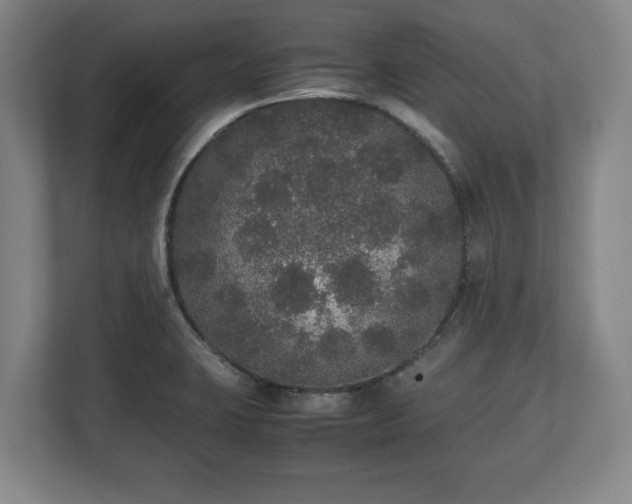 X0000112531423200908241457