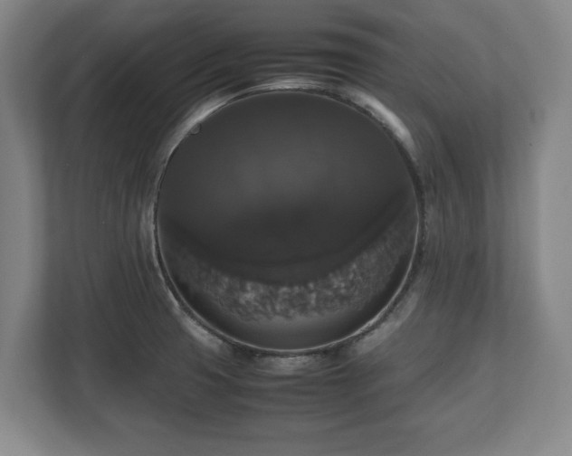 X0000112531425200908241458