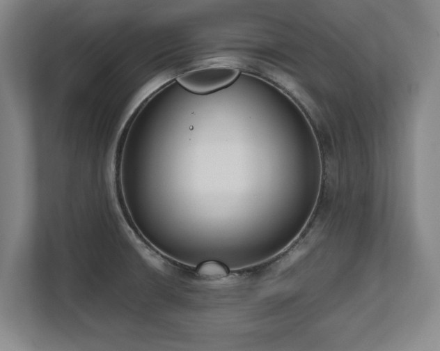 X0000112531426200908241458