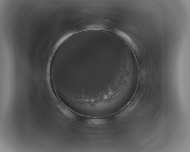 X0000112531427200908241458