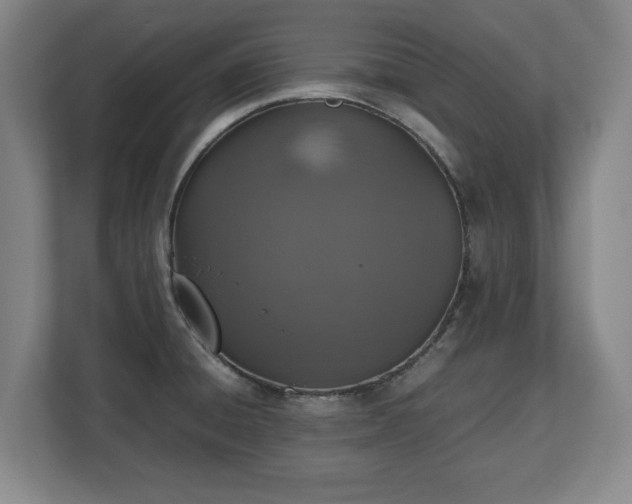 X0000112531428200908241458