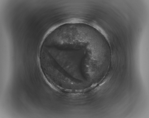 X0000112531429200908241458
