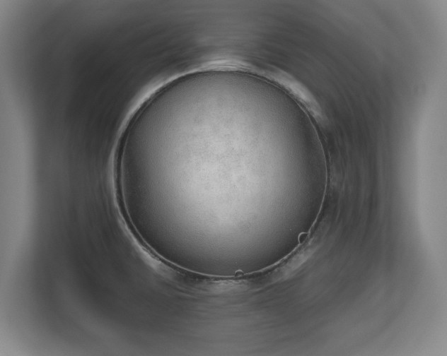 X0000112531430200908241458