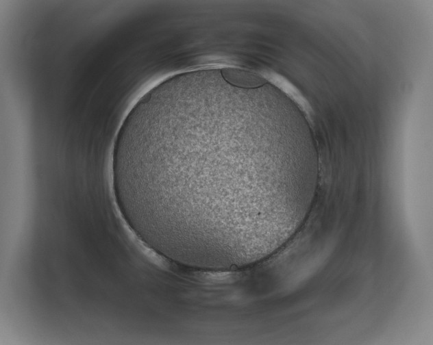 X0000112531431200908241458