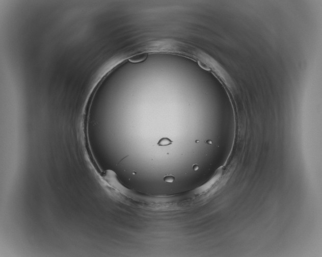 X0000112531434200908241458