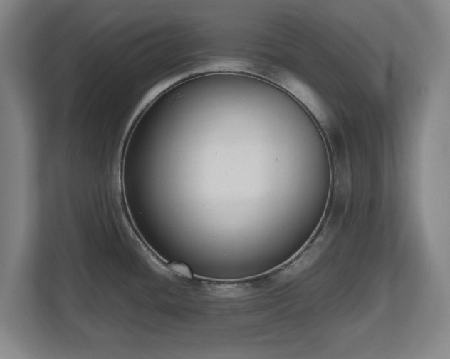 X0000112531436200908241458