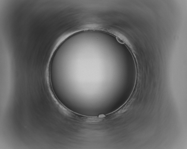 X0000112531440200908241458