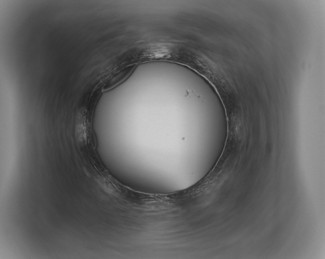 X0000112531442200908241457