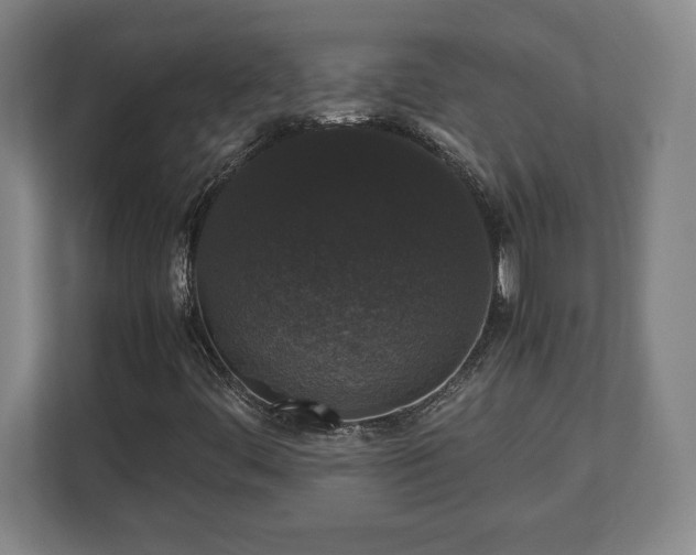 X0000112531444200908241457