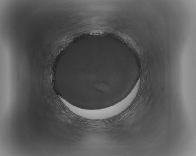 X0000112531445200908241457