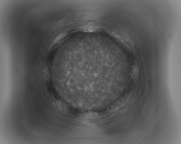 X0000112531446200908241457