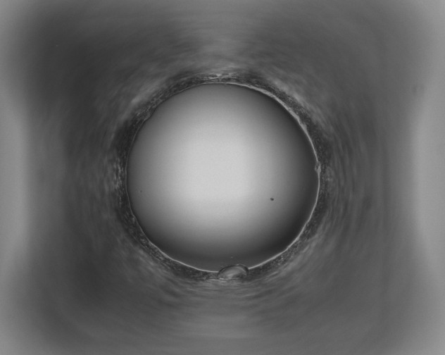 X0000112531447200908241457