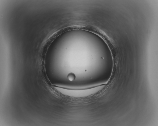 X0000112531448200908241457