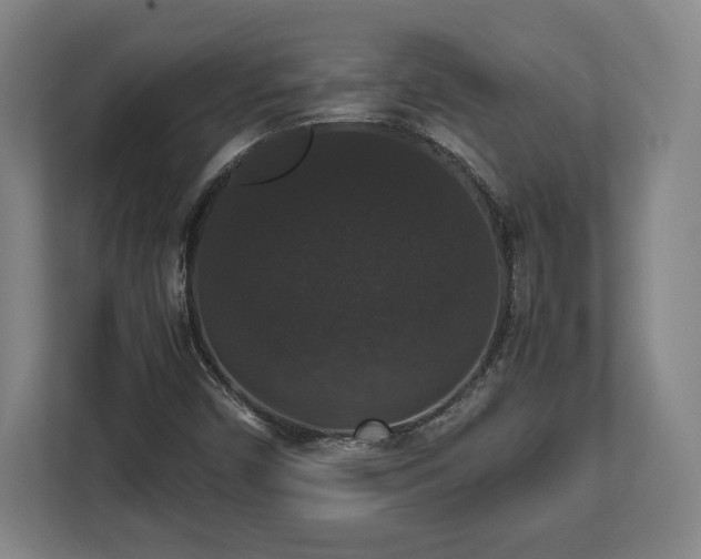 X0000112531450200908241457