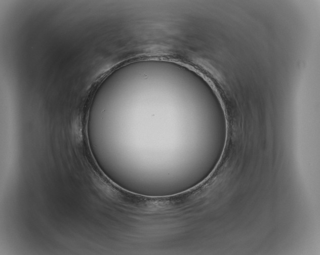 X0000112531451200908241457