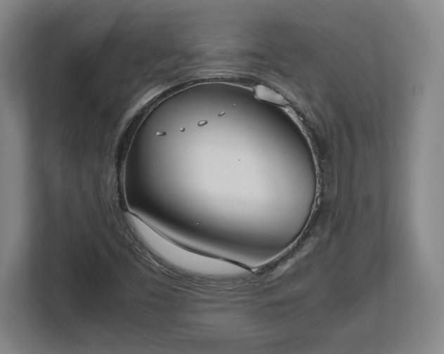X0000112531453200908241457