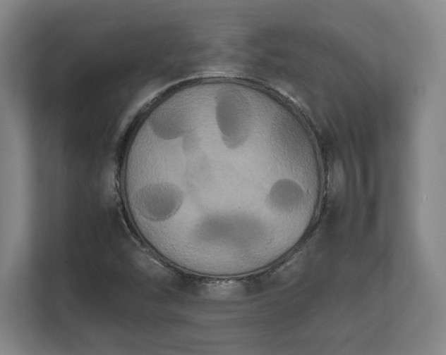X0000112531454200908241457