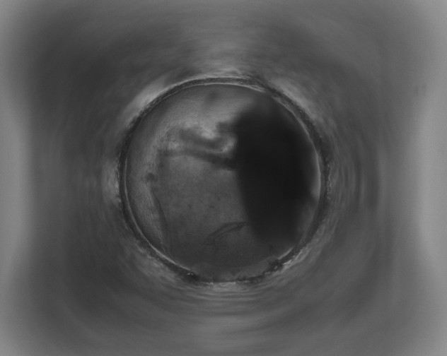 X0000112531455200908241457