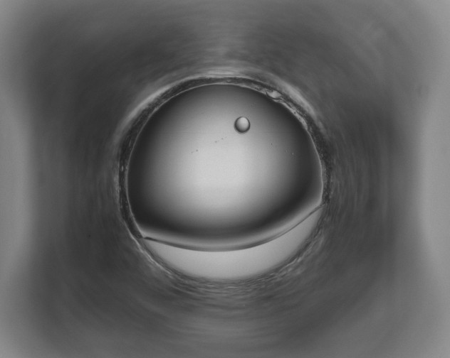 X0000112531456200908241457