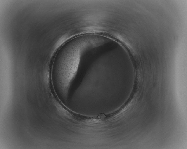 X0000112531459200908241457