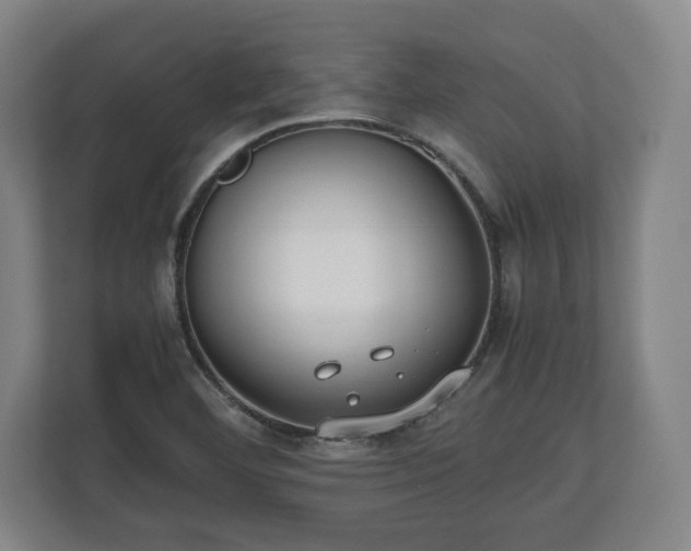 X0000112531460200908241457