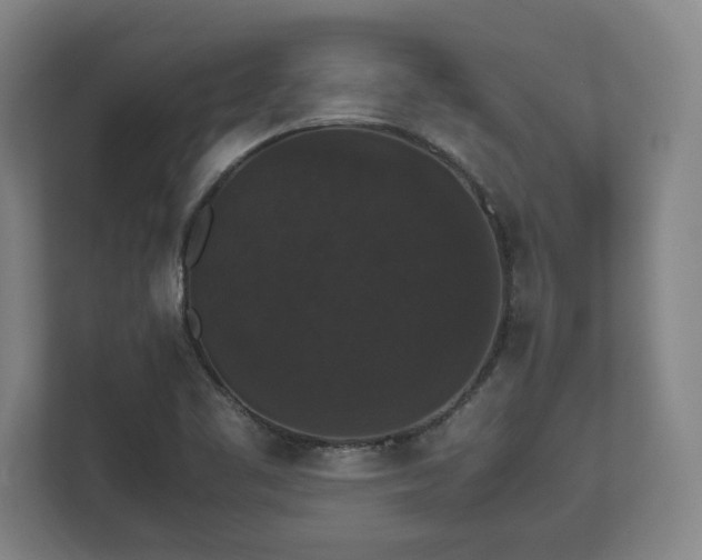 X0000112531461200908241457