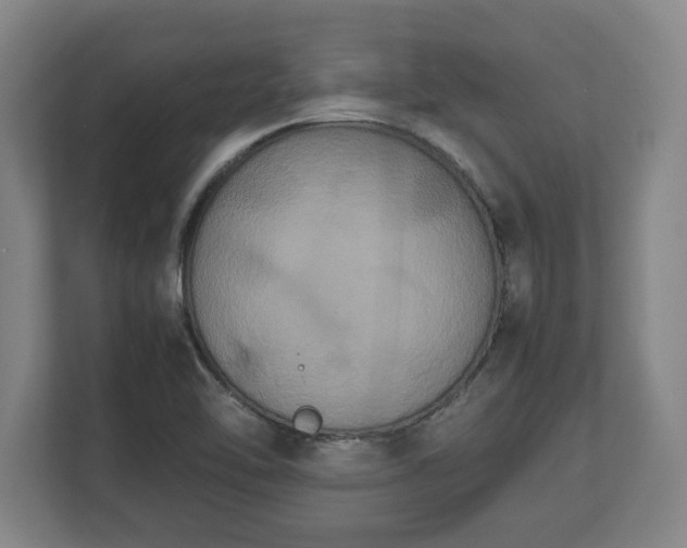 X0000112531462200908241457