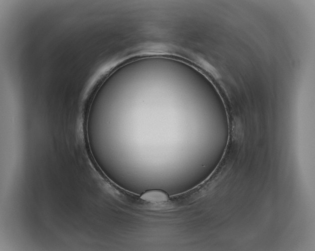 X0000112531464200908241457