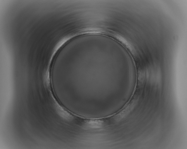 X0000112531466200908241457