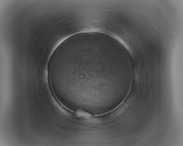 X0000112531468200908241457