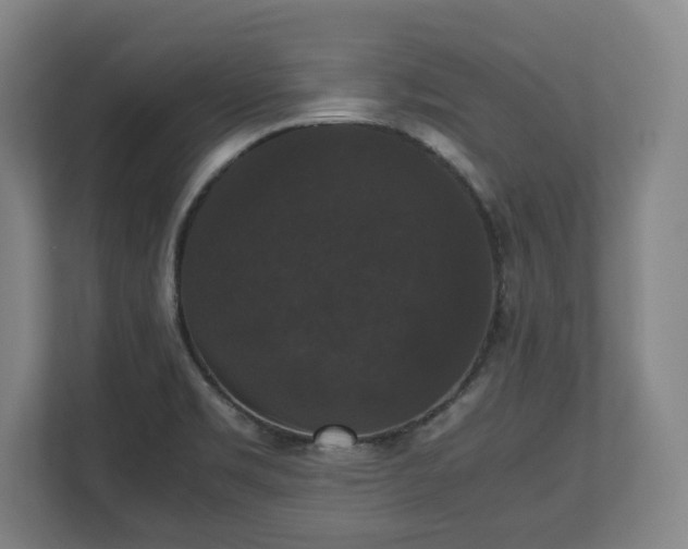 X0000112531469200908241457