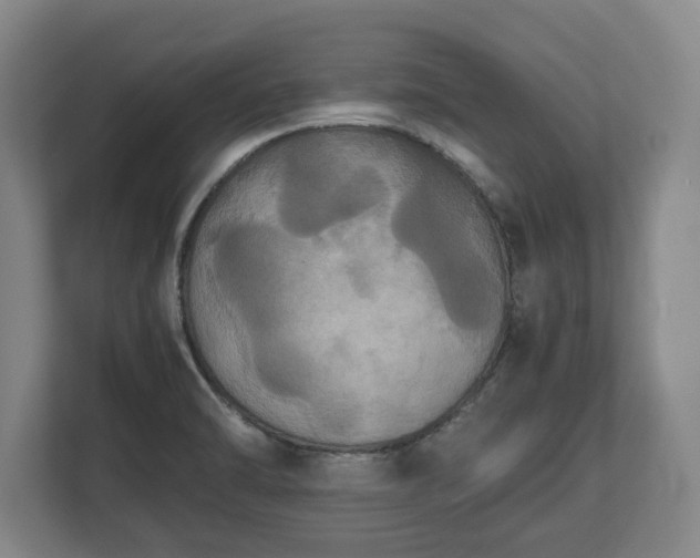 X0000112531470200908241457