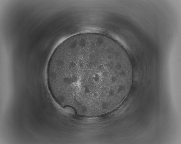 X0000112531471200908241457
