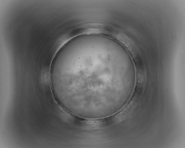 X0000112531473200908241457