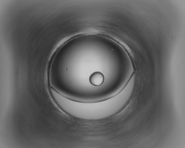 X0000112531477200908241457