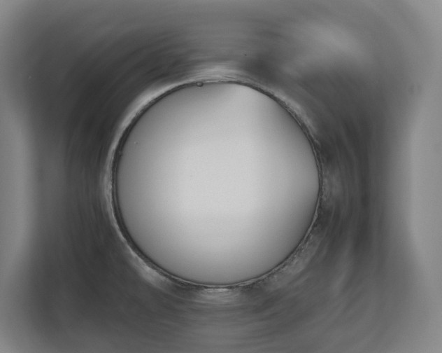X0000112531478200908241457