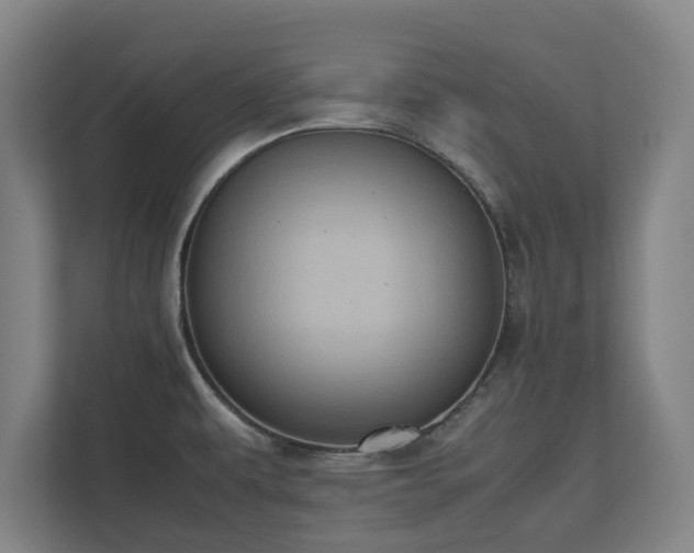 X0000112531479200908241457