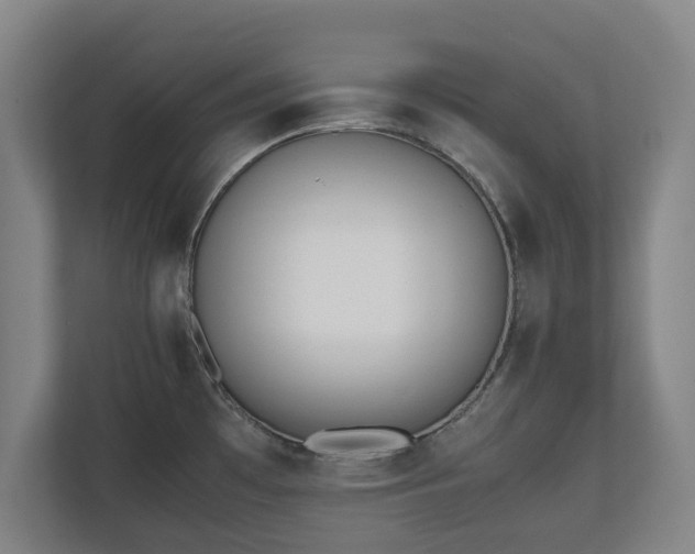 X0000112531481200908241457